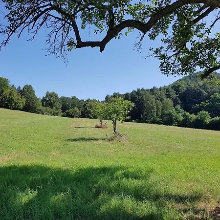 Apartment Ferienwohnung Mauerle Bis 8 Erw. Pfalzer Wald, Sudwestpfalz Nothweiler